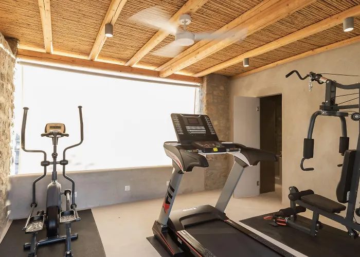 Aegean Hospitality 4*