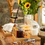 Aegean Hospitality 4*