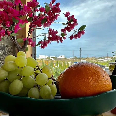 Aegean Hospitality