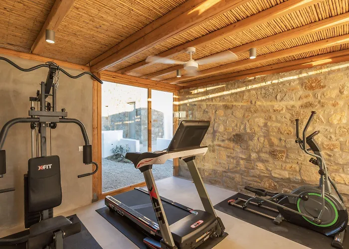 Aegean Hospitality 住宿加早餐酒店 4*