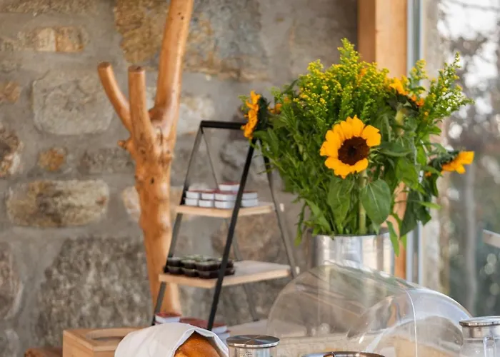 Aegean Hospitality 住宿加早餐酒店 Mykonos Town